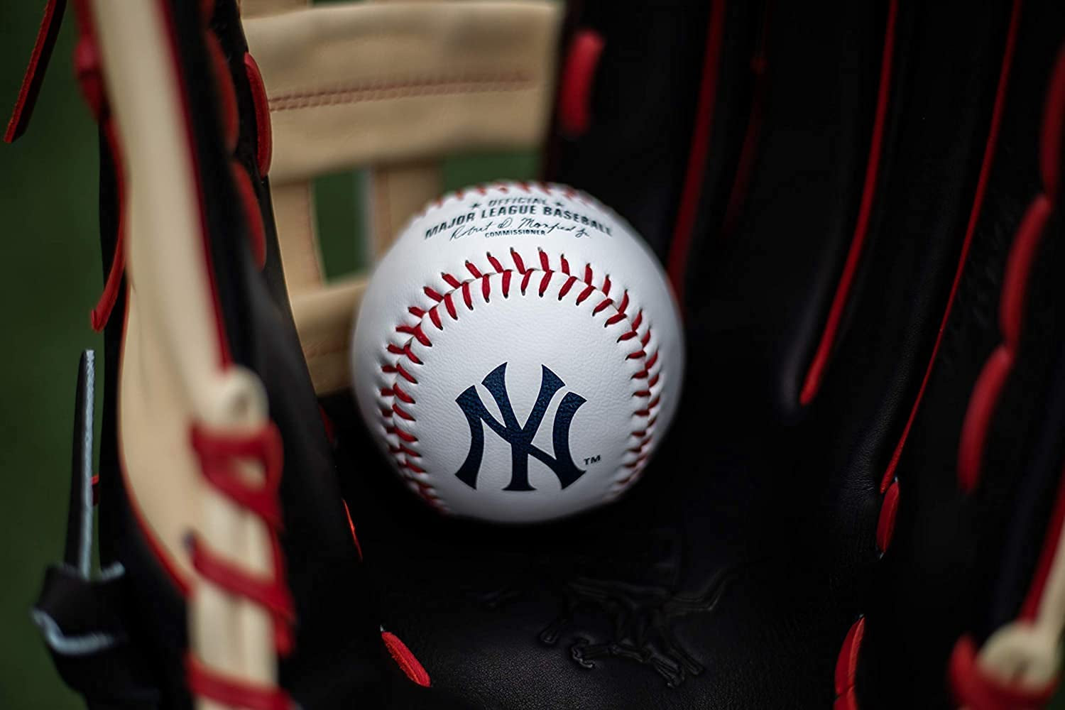 | Official 2025 MLB Baseball with Team Logo | All 30 MLB Teams Available